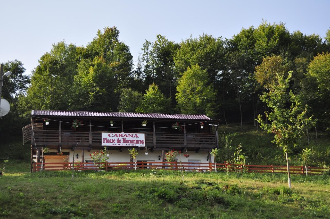 Лоджи Cabana Floare de Maramures Сигету-Мармацией-43